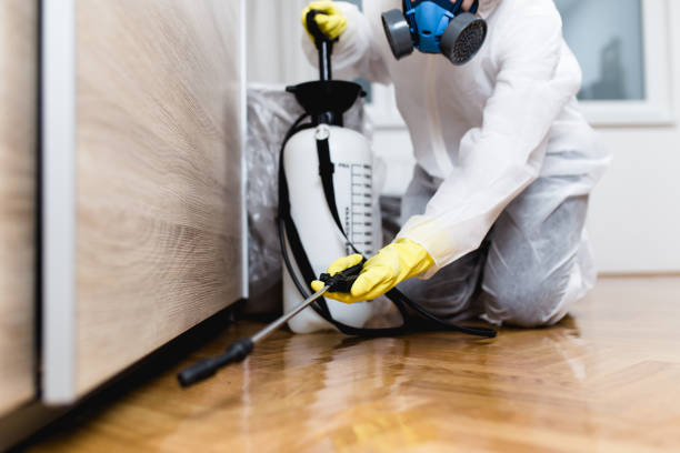 Best Pest Removal Services  in Captain Cook, HI