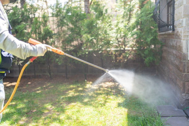 Best Pest Control for Restaurants  in Captain Cook, HI